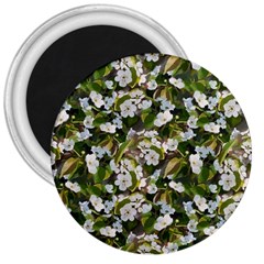 Blooming Garden 3  Magnets by SychEva