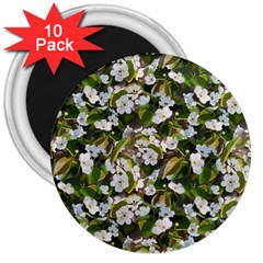 Blooming Garden 3  Magnets (10 Pack)  by SychEva