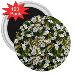 Blooming Garden 3  Magnets (100 Pack) by SychEva