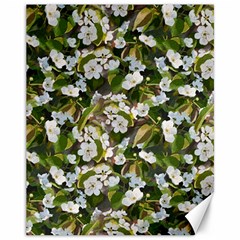 Blooming Garden Canvas 11  X 14  by SychEva