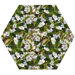 Blooming Garden Wooden Puzzle Hexagon by SychEva