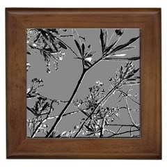 Grey Colors Flowers And Branches Illustration Print Framed Tile by dflcprintsclothing