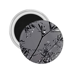 Grey Colors Flowers And Branches Illustration Print 2 25  Magnets