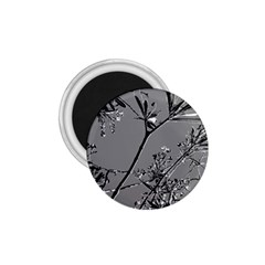 Grey Colors Flowers And Branches Illustration Print 1.75  Magnets