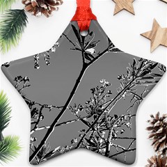 Grey Colors Flowers And Branches Illustration Print Ornament (star) by dflcprintsclothing