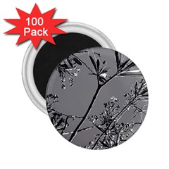 Grey Colors Flowers And Branches Illustration Print 2.25  Magnets (100 pack) 