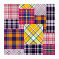 Checks Pattern Medium Glasses Cloth