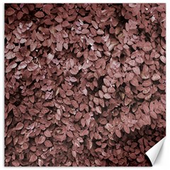 Red Leaves Photo Pattern Canvas 12  X 12  by dflcprintsclothing