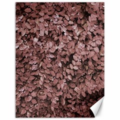 Red Leaves Photo Pattern Canvas 12  X 16 