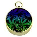 Weed Rainbow, Ganja leafs pattern in colors, 420 marihujana theme Gold Compasses Front