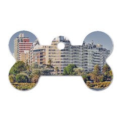 Urban Coastal Scene, Montevideo Uruguay Dog Tag Bone (two Sides) by dflcprintsclothing