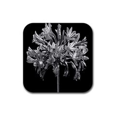 Black And White Lilies Botany Motif Print Rubber Coaster (square)  by dflcprintsclothing