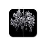 Black And White Lilies Botany Motif Print Rubber Square Coaster (4 pack)  Front