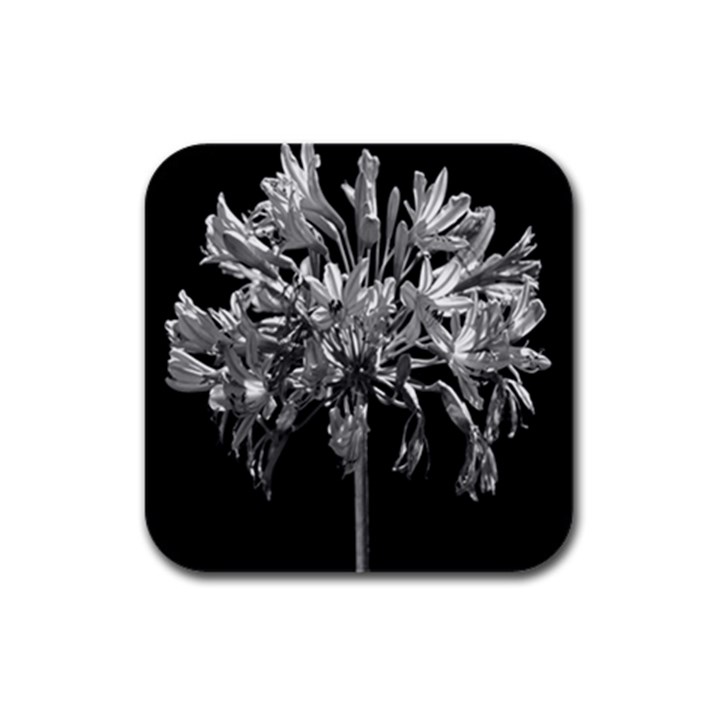 Black And White Lilies Botany Motif Print Rubber Square Coaster (4 pack) 