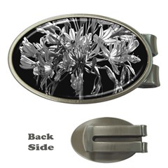 Black And White Lilies Botany Motif Print Money Clips (oval)  by dflcprintsclothing