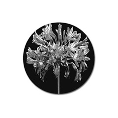 Black And White Lilies Botany Motif Print Magnet 3  (round) by dflcprintsclothing