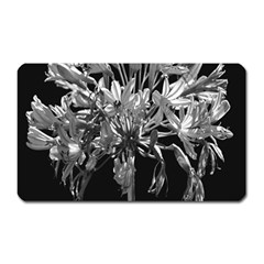 Black And White Lilies Botany Motif Print Magnet (rectangular) by dflcprintsclothing