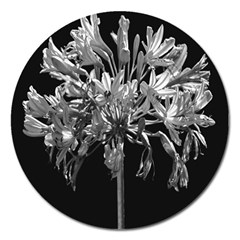 Black And White Lilies Botany Motif Print Magnet 5  (round) by dflcprintsclothing