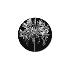 Black And White Lilies Botany Motif Print Golf Ball Marker (10 Pack) by dflcprintsclothing