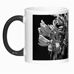 Black And White Lilies Botany Motif Print Morph Mugs