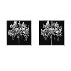 Black And White Lilies Botany Motif Print Cufflinks (square) by dflcprintsclothing