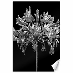 Black And White Lilies Botany Motif Print Canvas 24  X 36  by dflcprintsclothing