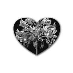 Black And White Lilies Botany Motif Print Heart Coaster (4 Pack)  by dflcprintsclothing