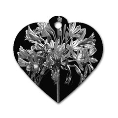 Black And White Lilies Botany Motif Print Dog Tag Heart (two Sides) by dflcprintsclothing