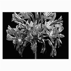 Black And White Lilies Botany Motif Print Large Glasses Cloth by dflcprintsclothing