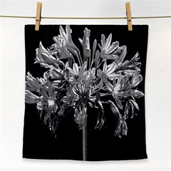 Black And White Lilies Botany Motif Print Face Towel