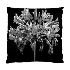 Black And White Lilies Botany Motif Print Standard Cushion Case (one Side) by dflcprintsclothing