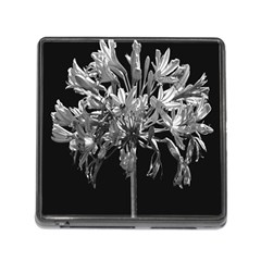 Black And White Lilies Botany Motif Print Memory Card Reader (square 5 Slot) by dflcprintsclothing