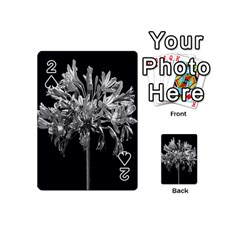 Black And White Lilies Botany Motif Print Playing Cards 54 Designs (mini) by dflcprintsclothing