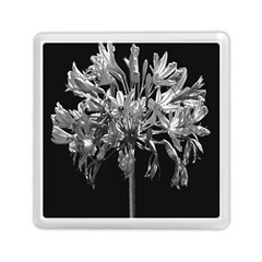 Black And White Lilies Botany Motif Print Memory Card Reader (square) by dflcprintsclothing