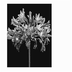 Black And White Lilies Botany Motif Print Large Garden Flag (two Sides) by dflcprintsclothing