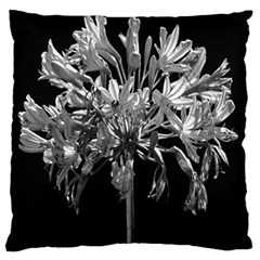 Black And White Lilies Botany Motif Print Standard Flano Cushion Case (one Side)