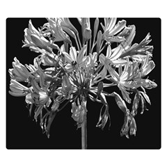 Black And White Lilies Botany Motif Print Double Sided Flano Blanket (small)  by dflcprintsclothing