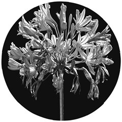 Black And White Lilies Botany Motif Print Wooden Puzzle Round by dflcprintsclothing