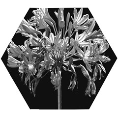 Black And White Lilies Botany Motif Print Wooden Puzzle Hexagon by dflcprintsclothing