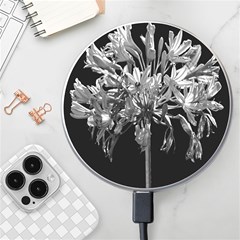 Black And White Lilies Botany Motif Print Wireless Charger by dflcprintsclothing