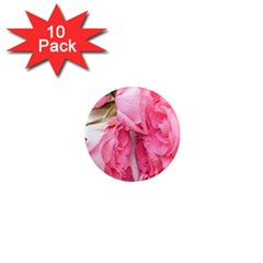 Scattered Magenta Roses 1  Mini Magnet (10 Pack)  by kaleidomarblingart