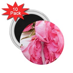 Scattered Magenta Roses 2 25  Magnets (10 Pack)  by kaleidomarblingart