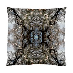 Spring Patterns Repeat Standard Cushion Case (Two Sides)