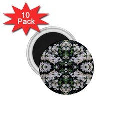 White Bush Repeats 1 75  Magnets (10 Pack) 