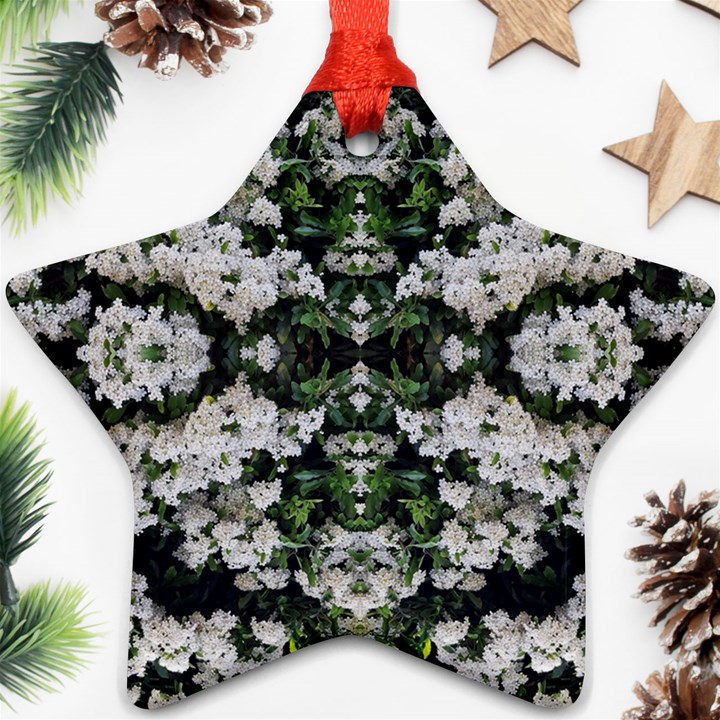 White Bush Repeats Star Ornament (Two Sides)