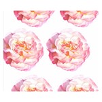 Roses Repeats I Double Sided Flano Blanket (Small)  50 x40  Blanket Front