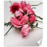 Scattered roses Canvas 8  x 10  8.15 x9.66  Canvas - 1