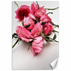 Scattered roses Canvas 12  x 18 