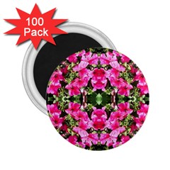 Magenta Flowers 2 25  Magnets (100 Pack)  by kaleidomarblingart