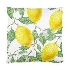 Vintage Lemons Standard Cushion Case (two Sides)